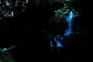 Gaticos casa hostal . R&iacute;o Saman&aacute; Norte.