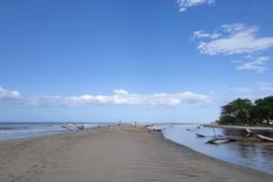 Gaviotas, R&iacute;o y Mar