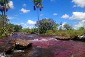 GEOTOURS DEL GUAVIARE