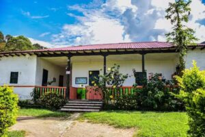 Gigantes de Piedra Itzayana