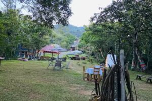 Glamping Bosque La Manguita
