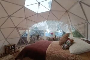 Glamping entre &aacute;rboles