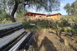 Glamping Entre Nopales