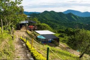 Glamping Horizon Forest