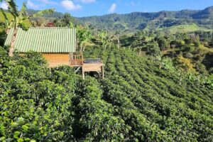 Glamping Jeric&oacute;