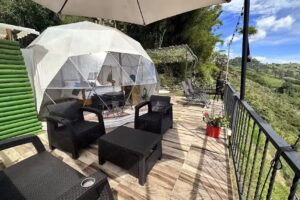 Glamping la Divisa