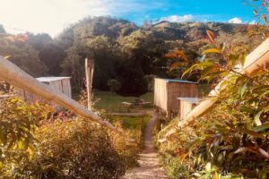 Glamping La Veranera