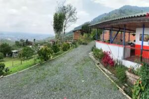 Glamping Miel de Luna