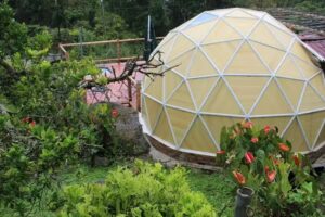 Glamping Mountain View