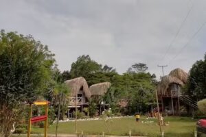 Glamping Paihuen