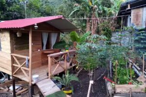 Glamping Tani