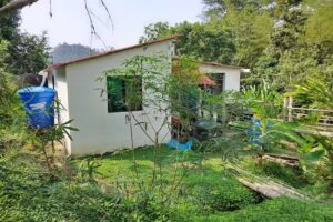 Glamping TresPiedras