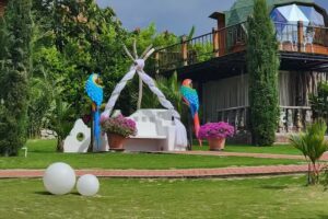 Glamping villa Coffee