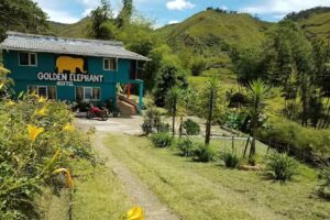 Golden Elephant Hostel