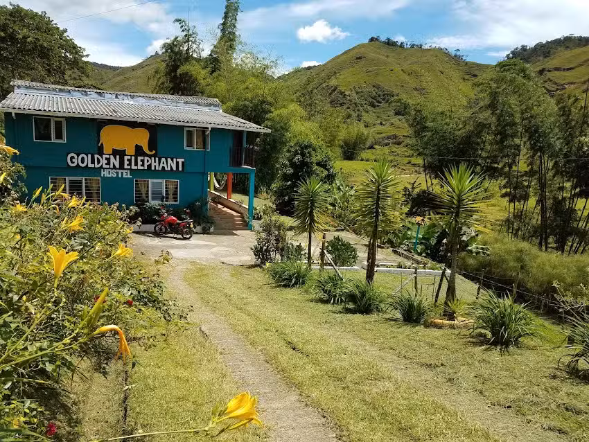 Golden Elephant Hostel