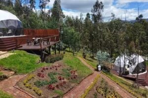 Golden Glamping Guatavita