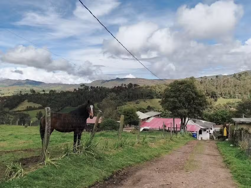 Granja Agroecologica El Salero II