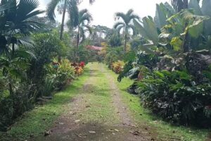 Granja Agrotur&iacute;stica Villa Javier