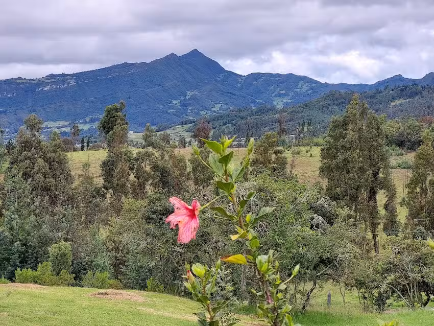 Granja av&iacute;cola Finca san Carlos