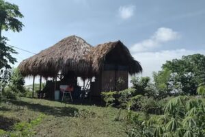 Granja integral Monte Mar&iacute;a