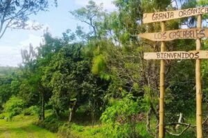 Granja Los Cascabeles