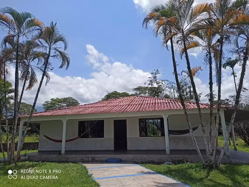 Granjita la ilusi&oacute;n