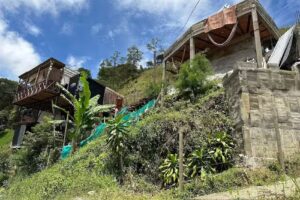 GreenHouse Luxury 𓆩✧𓆪