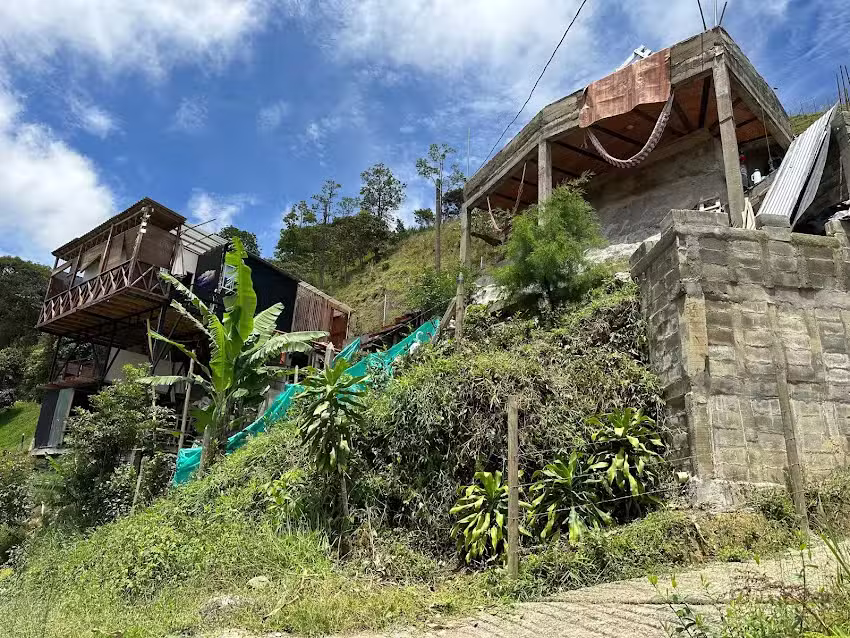 GreenHouse Luxury 𓆩✧𓆪