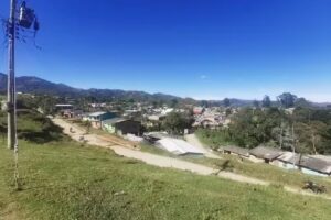 Grupo Comunitario La Palma