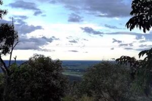 Gu&aacute;charos Club