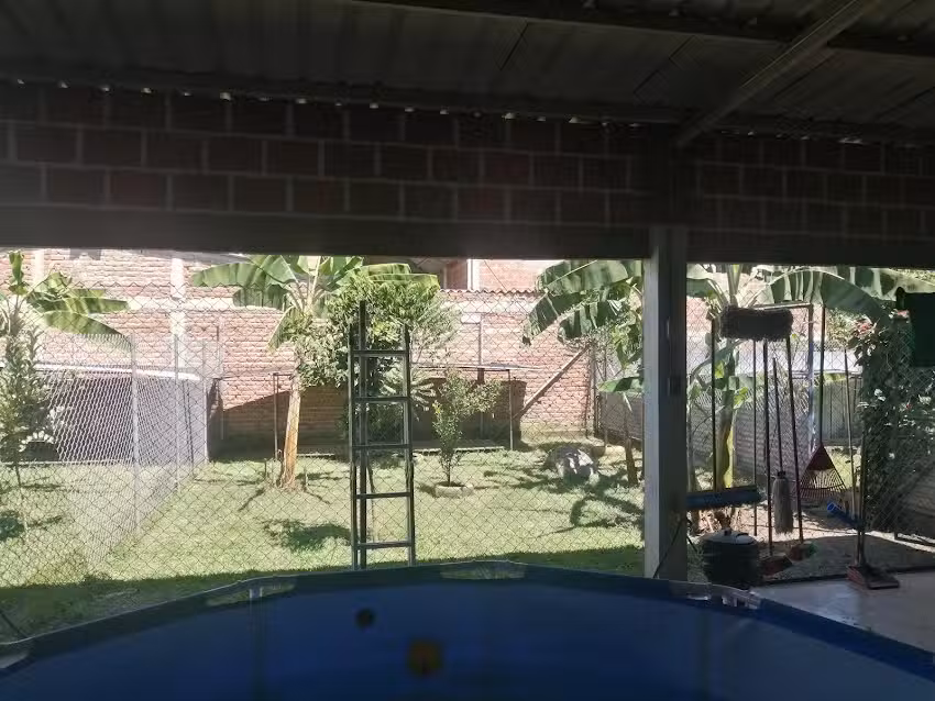 Guarderia Y Hotel Campestre Canino Metazoa Pets