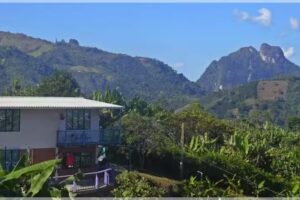 Guppy Hospedaje “Conexión Natural”