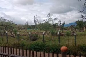 Habitaci&oacute;n en Territorio Ancestral