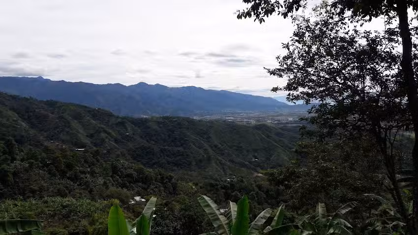 Hacienda Buena Vista