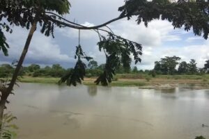 Hacienda Hermanos Gil