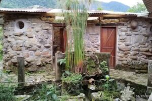 Hacienda La Leona Birdwatching