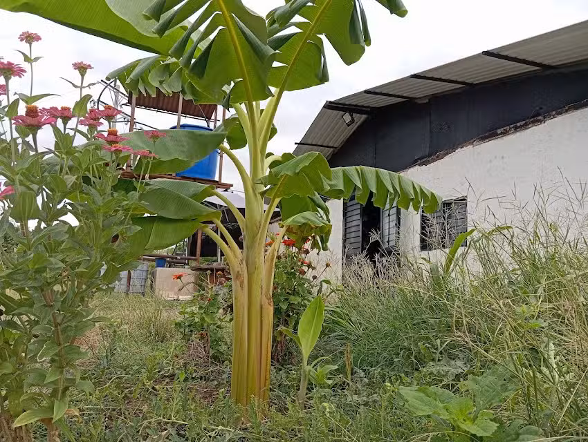 Hacienda La Providencia