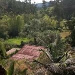 Hacienda Los Naranjos
