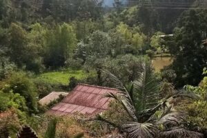 Hacienda Los Naranjos