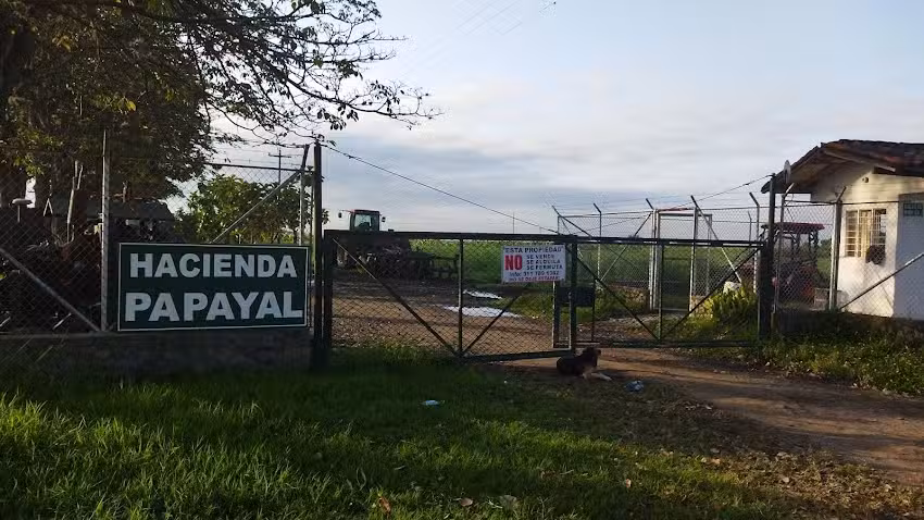 Hacienda Papayal