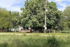 Hacienda &ldquo;San Daniel&rdquo;