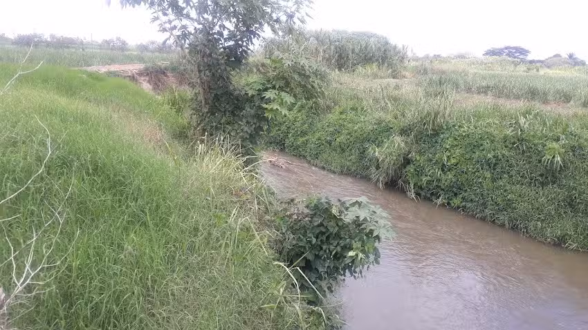 Hacienda San Isidro Labrador