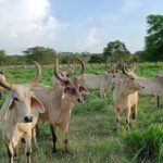 Hacienda Santa Mar&iacute;a