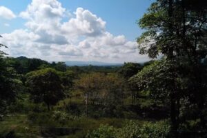 Hacienda sol y sombra