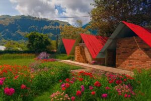 Heliconias – Cabañas & Aventura