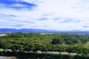 Holiday Apartment Rental