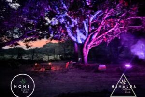 ️HOME CULTURAL ROOTS