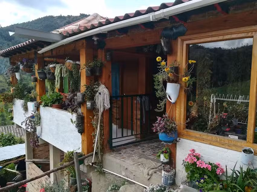 Hospedaje Bellavista, Mongu&iacute;