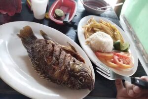 Hospedaje EDS Los Nogales