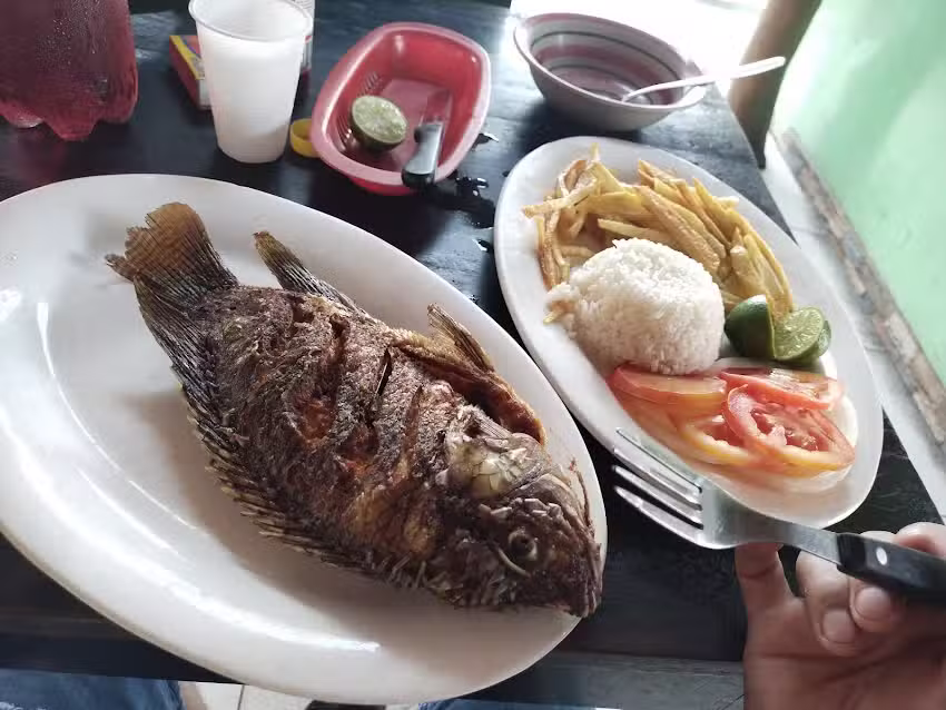 Hospedaje EDS Los Nogales